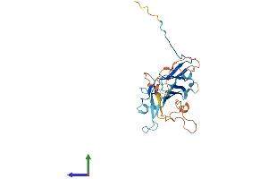 AlphaFold protein structure predicition of Human Recombinant GUSBP11 Protein, UniprotID Q6P575 (GUSBP11 Protein (AA 1-273) (His tag))