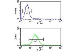 IGH antibody flow cytometric analysis of HL-60 cells (green) compared to a negative control cell (blue).