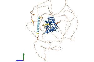 Protein Structure (PS) image for Inositol-Trisphosphate 3-Kinase B (ITPKB) (AA 1-946) protein (His tag) (ABIN7548582)