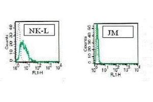 Intracytoplasmic staining of Granulysin with B-L38 (green) vs isotypic control (grey) on NK-L cell line. (GNLY antibody)