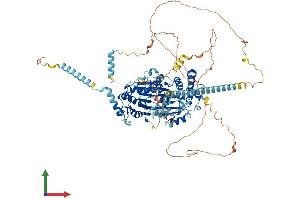 Protein Structure (PS) image for DEAD (Asp-Glu-Ala-Asp) Box Polypeptide 10 (DDX10) (AA 1-875) protein (His tag) (ABIN7558429)