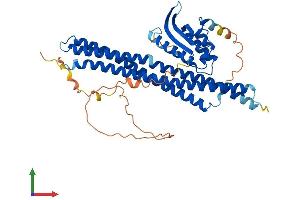 Protein Structure (PS) image for Sorting Nexin Family Member 30 (SNX30) (AA 1-437) protein (His tag) (ABIN7546256)