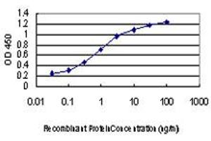 Detection limit for recombinant GST tagged GATA2 is approximately 0. (GATA2 antibody  (AA 1-102))