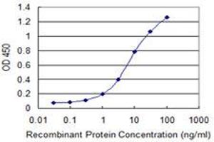 Detection limit for recombinant GST tagged NLGN1 is 0. (Neuroligin 1 antibody  (AA 578-677))