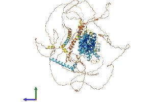 AlphaFold protein structure predicition of Mouse Recombinant Slf2 Protein, UniprotID Q6P9P0
