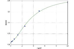 A typical standard curve