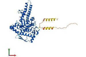 Protein Structure (PS) image for Hyaluronidase-4 (HYAL4) (AA 1-481) protein (His tag) (ABIN7556900)
