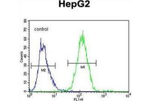 Flow cytometric analysis of HepG2 cells using Hepatopoietin Antibody (C-term) Cat.