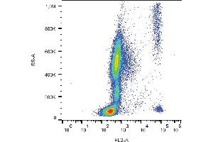 Flow cytometry analysis (surface staining) of CD193 in human peripheral blood with anti-human CD193 (5E8) PE.