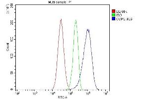 Flow Cytometry analysis of HepG2 cells using anti-COPE antibody (ABIN7602509). (COPE antibody  (AA 80-308))