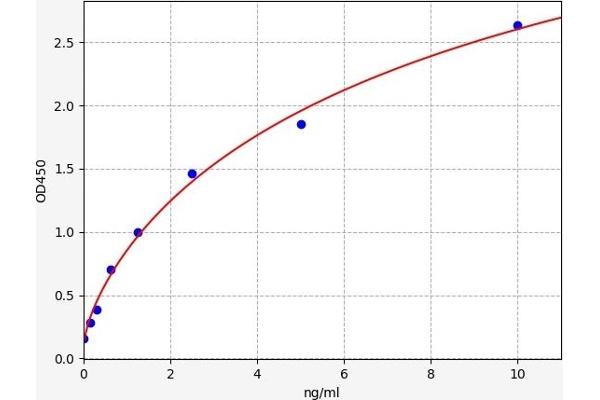 PRB1 ELISA Kit