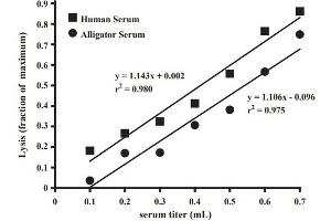 Krogh plot: Concentration-dependent lysis of sheep red blood cells (SRBCs) [p/n R405-0050] by alligator and human serum. (Sheep Red Blood Cells (10% Washed Pooled Cells))