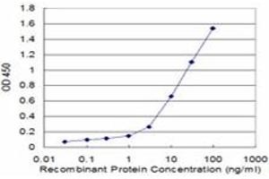 Detection limit for recombinant GST tagged RABIF is approximately 0. (RABIF antibody  (AA 1-123))