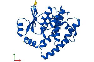 AlphaFold protein structure predicition of Human Recombinant GSTA4 Protein, UniprotID O15217