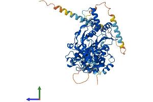 Protein Structure (PS) image for UDP-N-Acetyl-alpha-D-Galactosamine:polypeptide N-Acetylgalactosaminyltransferase 18 (GALNT18) (AA 1-622) protein (His tag) (ABIN7559467)