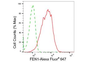 Flow cytometric analysis of FEN1 expression in HepG2 cells using FEN1 antibody (ABIN7798627), 1:2,000). (Recombinant FEN1 antibody)