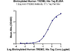 Immobilized Anti-TREM2 Antibody, hFc Tag at 2 μg/mL (100 μL/well) on the plate.