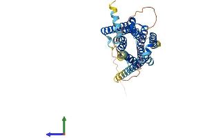 Protein Structure (PS) image for Serotonin Receptor 1E (HTR1E) (AA 1-365) protein (His tag) (ABIN7551744)