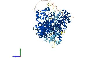 Protein Structure (PS) image for threonine Synthase-Like 1 (THNSL1) (AA 1-743) protein (His tag) (ABIN7544315)