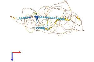 AlphaFold protein structure predicition of Human Recombinant ZC3H18 Protein, UniprotID Q86VM9 (ZC3H18 Protein (AA 1-953) (His tag))