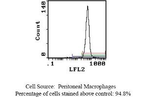 Mouse anti OX-43 Antigen OX-43 (Endothelium antibody)