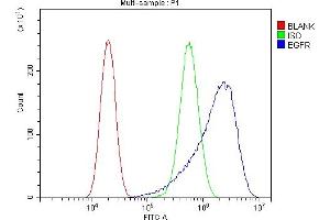 Flow Cytometry analysis of A549 cells using anti-EGFR antibody (ABIN7599622).