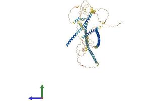 Protein Structure (PS) image for Caldesmon 1 (CALD1) (AA 1-793) protein (His tag) (ABIN7552994)