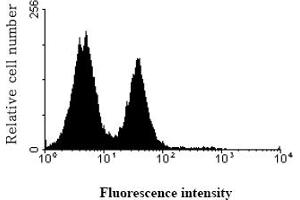 Profile of NK cells analyzed by flow cytometry (KIR2DL3 antibody)