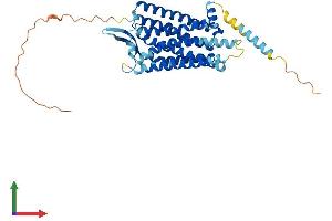 Protein Structure (PS) image for Neuropeptide Y Receptor Y2 (NPY2R) (AA 1-381) protein (His tag) (ABIN7549870)