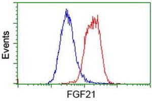 Flow cytometric Analysis of Hela cells, using anti-FGF21 antibody (ABIN2454535), (Red), compared to a nonspecific negative control antibody, (Blue).
