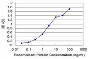 Detection limit for recombinant GST tagged BOLL is approximately 0. (BOLL antibody  (AA 185-283))