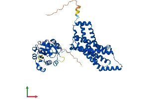 AlphaFold protein structure predicition of Mouse Recombinant Steap2 Protein, UniprotID Q8BWB6 (STEAP2 Protein (AA 1-489) (His tag))