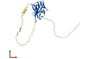 Protein Structure (PS) image for Fibroblast Growth Factor 14 (FGF14) (AA 1-247) protein (His tag) (ABIN7556710)