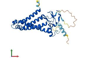 AlphaFold protein structure predicition of Human Recombinant ZDHHC12 Protein, UniprotID Q96GR4