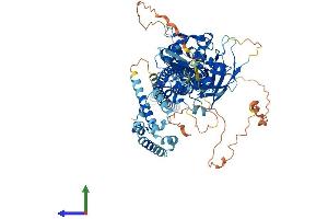 AlphaFold protein structure predicition of Human Recombinant STAT2 Protein, UniprotID P52630 (STAT2 Protein (AA 1-851) (His tag))