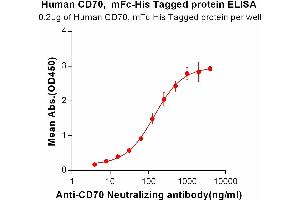 ELISA image for CD70 Molecule (CD70) protein (mFc-His Tag) (ABIN6961112)
