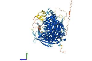 AlphaFold protein structure predicition of Mouse Recombinant Pla2g4d Protein, UniprotID Q50L43 (PLA2G4D Protein (AA 1-825) (His tag))