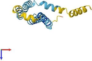 AlphaFold protein structure predicition of Human Recombinant GOLT1A Protein, UniprotID Q6ZVE7 (GOLT1A Protein (AA 1-132) (His tag))
