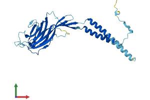 AlphaFold protein structure predicition of Mouse Recombinant Ergic1 Protein, UniprotID Q9DC16