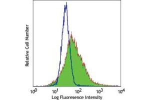 Image no. 1 for anti-CD163 (CD163) antibody (ABIN205305) (CD163 antibody)