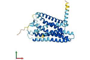 AlphaFold protein structure predicition of Human Recombinant OR2A2 Protein, UniprotID Q6IF42 (OR2A2 Protein (AA 1-318) (His tag))