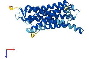 AlphaFold protein structure predicition of Human Recombinant OR5W2 Protein, UniprotID Q8NH69 (OR5W2 Protein (AA 1-310) (His tag))