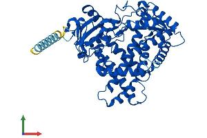 AlphaFold protein structure predicition of Mouse Recombinant Cyp2a5 Protein, UniprotID P20852 (CYP2A5 Protein (AA 1-494) (His tag))