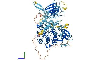 AlphaFold protein structure predicition of Human Recombinant PRKCD Protein, UniprotID Q05655 (PKC delta Protein (AA 1-676) (His tag))