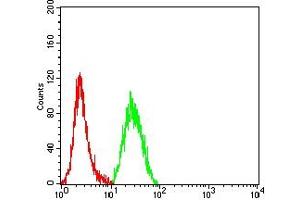 Flow cytometric analysis of Hela cells using CASP9 mouse mAb (green) and negative control (red). (Caspase 9 antibody  (AA 331-416))