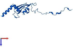 NDUFA12 Protein (AA 1-145) (His tag)
