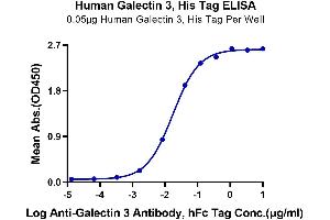 Immobilized Human Galectin 3, His Tag at 0. (Galectin 3 Protein (LGALS3) (AA 2-250) (His tag))
