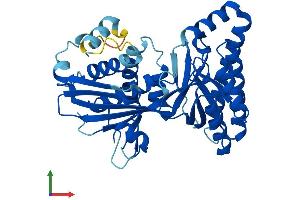 AlphaFold protein structure predicition of Mouse Recombinant Mvk Protein, UniprotID Q9R008