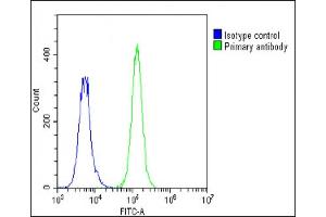 Overlay histogram showing A549 cells stained with A(green line). (STRADA antibody  (N-Term))
