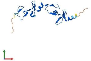 AlphaFold protein structure predicition of Mouse Recombinant Lmo3 Protein, UniprotID Q8BZL8